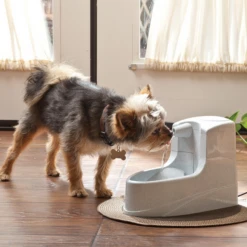 Petsafe Drinkwell Mini-Trinkbrunnen -Heimtierbedarf Geschäft petsafe drinkwell mini drinkfontein 12 l 208061 0500 none