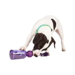 PetSafe Tug-a-Jug -Heimtierbedarf Geschäft petsafe tug a jug 216335 0500 none