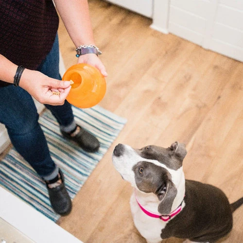 Planet Dog Orbee-Tuff Snoop 7 Planet Dog Orbee-Tuff Snoop – Bild 5