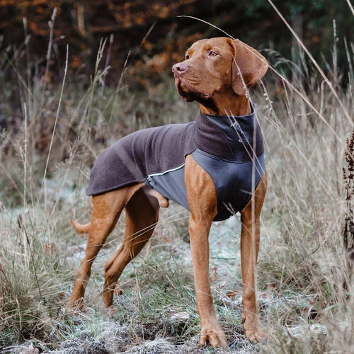 Pomppa Jumppa 8 Pomppa Jumppa – Bild 6