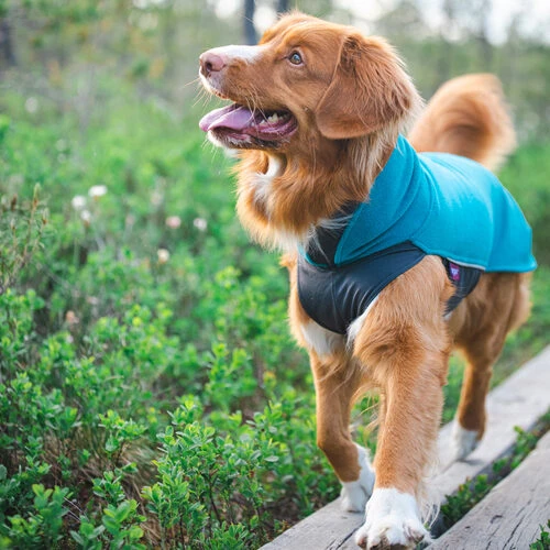 Pomppa Jumppa 9 Pomppa Jumppa – Bild 7