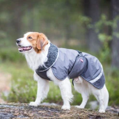 Pomppa Perus Hundejacke -Heimtierbedarf Geschäft pomppa perus hondenjas 215732 0500 none