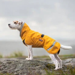 Pomppa Perus Hundejacke -Heimtierbedarf Geschäft pomppa perus hondenjas 215735 0500 none