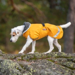 Pomppa Perus Hundejacke -Heimtierbedarf Geschäft pomppa perus hondenjas 215738 0500 none