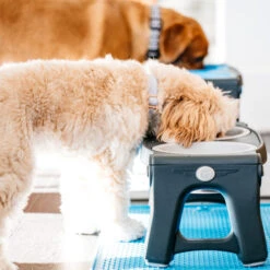 Popware Adjustable Height Pet Feeder -Heimtierbedarf Geschäft popware adjustable height pet feeder 164587 0500 none