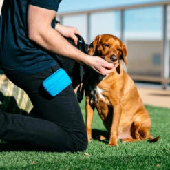 Popware Pooch Pouch Treatbag -Heimtierbedarf Geschäft popware pooch pouch treatbag 164698 0500 none