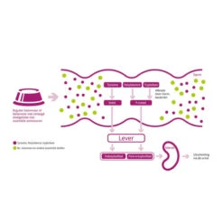 Porus One 7 Porus One -Heimtierbedarf Geschäft porus one 134455 0500 none