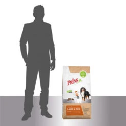 Prins ProCare Lamb & Rice Hypoallergenic 10 Prins ProCare Lamb & Rice Hypoallergenic -Heimtierbedarf Geschäft prins procare lamb rice hypoallergenic 171559 0500 none