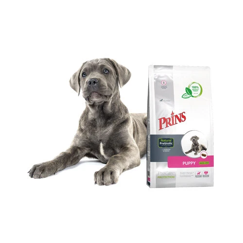 Prins ProCare Protection Puppy 4 Prins ProCare Protection Puppy – Bild 2
