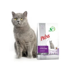 Prins VitalCare Cat Sterilised 12 Prins VitalCare Cat Sterilised -Heimtierbedarf Geschäft prins vitalcare cat sterilised 172456 0500 none