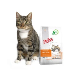 Prins VitalCare Multicat -Heimtierbedarf Geschäft prins vitalcare multicat 172366 0500 none
