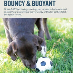 Planet Dog Orbee-Tuff Soccer Ball -Heimtierbedarf Geschäft prod 14590 203615 0500 none