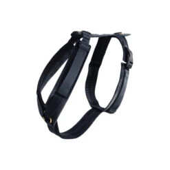 Kentucky Dog Harness Active Velvet -Heimtierbedarf Geschäft prod 15744 218993 0500 none