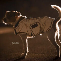 Kentucky Hundemantel Reflective & Waterrepellent -Heimtierbedarf Geschäft prod 15746 219015 0500 none