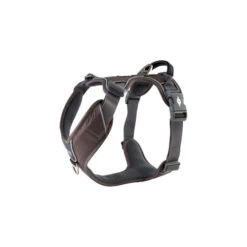 DOG Copenhagen Comfort Walk Pro Geschirr 25 DOG Copenhagen Comfort Walk Pro Geschirr -Heimtierbedarf Geschäft prod 15938 220292 0500 none
