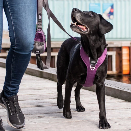 DOG Copenhagen Comfort Walk Pro Geschirr 15 DOG Copenhagen Comfort Walk Pro Geschirr – Bild 13