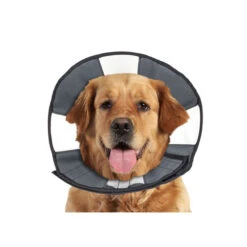 ZenPet Zen Collar -Heimtierbedarf Geschäft prod 5332 89025 0500 none