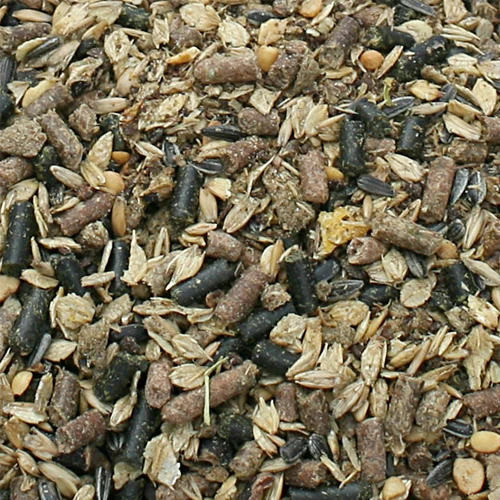 Bonpard Motility 4 Bonpard Motility – Bild 2