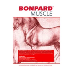Bonpard Muscle