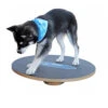 FitPAWS Wobble Board 2 FitPAWS Wobble Board -Heimtierbedarf Geschäft product fitpaws wobble board none 4 1470905070 76051