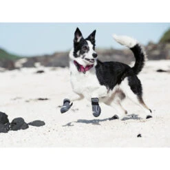Hurtta Hundeschuhe Outback -Heimtierbedarf Geschäft product hurtta outback boots none 4 1478786124 80266