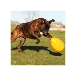 Jolly Egg 12 Jolly Egg -Heimtierbedarf Geschäft product jolly egg none 4 1496839893 86965