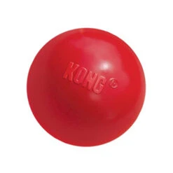 KONG Ball 10 KONG Ball -Heimtierbedarf Geschäft product kong ball none 4 1466058812 69915