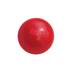 KONG Ball 11 KONG Ball -Heimtierbedarf Geschäft product kong ball none 4 1466058813 69918