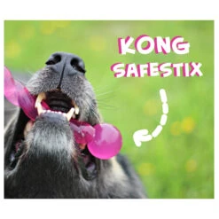 KONG Safestix -Heimtierbedarf Geschäft product kong safestix none 4 1458633926 66969