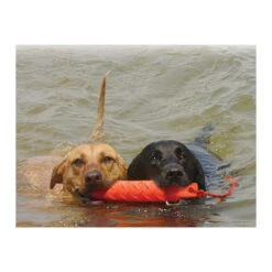 KONG Training Dummy -Heimtierbedarf Geschäft product kong training dummy none 4 1469627104 71971