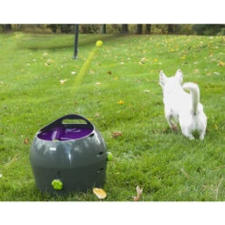 PetSafe Automatischer Ballwerfer -Heimtierbedarf Geschäft product petsafe ball launcher none 4 1472637635 77137