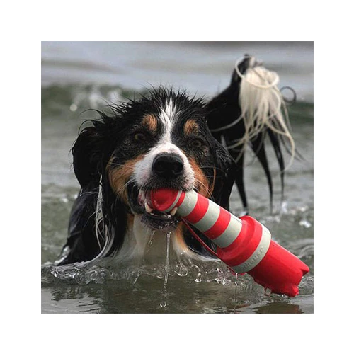 Rogz Leuchtturm 4 Rogz Leuchtturm – Bild 2