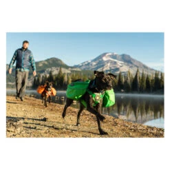 Ruffwear Approach Pack 23 Ruffwear Approach Pack -Heimtierbedarf Geschäft product ruffwear approach pack none 4 1489677652 84736