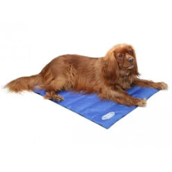 Scruffs Cooling Mat 10 Scruffs Cooling Mat -Heimtierbedarf Geschäft product scruffs cooling mat none 4 1472200005 76954
