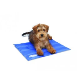 Scruffs Cooling Mat 9 Scruffs Cooling Mat -Heimtierbedarf Geschäft product scruffs cooling mat none 4 1472200006 76957