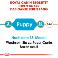 Royal Canin Boxer Puppy - Hundefutter 14 Royal Canin Boxer Puppy - Hundefutter -Heimtierbedarf Geschäft royal canin boxer puppy hondenvoer 137464 0500 none