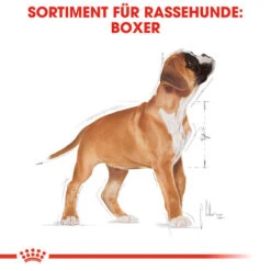 Royal Canin Boxer Puppy - Hundefutter 13 Royal Canin Boxer Puppy - Hundefutter -Heimtierbedarf Geschäft royal canin boxer puppy hondenvoer 137491 0500 none