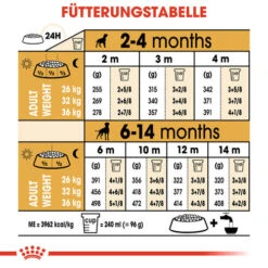 Royal Canin Boxer Puppy - Hundefutter 16 Royal Canin Boxer Puppy - Hundefutter -Heimtierbedarf Geschäft royal canin boxer puppy hondenvoer 137500 0500 none