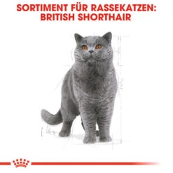Royal Canin British Shorthair Adult - Katzenfutter -Heimtierbedarf Geschäft royal canin british shorthair adult kattenvoer 137524 0500 none