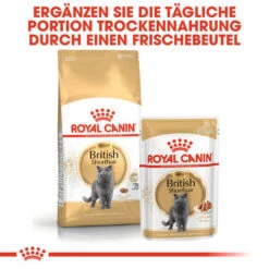 Royal Canin British Shorthair Adult - Katzenfutter -Heimtierbedarf Geschäft royal canin british shorthair adult kattenvoer 137551 0500 none