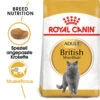 Royal Canin British Shorthair Adult - Katzenfutter -Heimtierbedarf Geschäft royal canin british shorthair adult kattenvoer 137578 0500 none