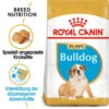 Royal Canin Bulldog Puppy - Hundefutter 1 Royal Canin Bulldog Puppy - Hundefutter -Heimtierbedarf Geschäft royal canin bulldog puppy hondenvoer 137848 0500 none