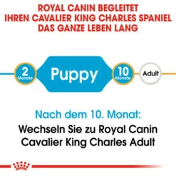 Royal Canin Cavalier King Charles Puppy - Hundefutter -Heimtierbedarf Geschäft royal canin cavalier king charles puppy hondenvoer 137905 0500 none