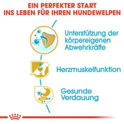 Royal Canin Cavalier King Charles Puppy - Hundefutter -Heimtierbedarf Geschäft royal canin cavalier king charles puppy hondenvoer 137923 0500 none