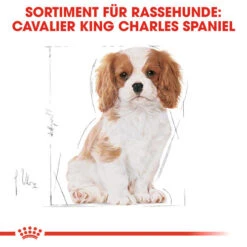 Royal Canin Cavalier King Charles Puppy - Hundefutter -Heimtierbedarf Geschäft royal canin cavalier king charles puppy hondenvoer 137932 0500 none