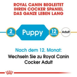 Royal Canin Cocker Puppy - Hundefutter -Heimtierbedarf Geschäft royal canin cocker puppy hondenvoer 138199 0500 none