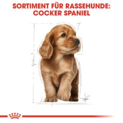 Royal Canin Cocker Puppy - Hundefutter -Heimtierbedarf Geschäft royal canin cocker puppy hondenvoer 138226 0500 none