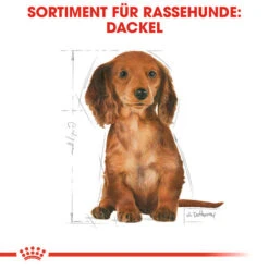 Royal Canin Dachshund Puppy - Hundefutter -Heimtierbedarf Geschäft royal canin dachshund puppy hondenvoer 138346 0500 none