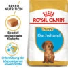 Royal Canin Dachshund Puppy - Hundefutter 2 Royal Canin Dachshund Puppy - Hundefutter -Heimtierbedarf Geschäft royal canin dachshund puppy hondenvoer 140516 0500 none