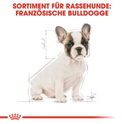 Royal Canin French Bulldog Puppy - Hundefutter -Heimtierbedarf Geschäft royal canin french bulldog puppy hondenvoer 138718 0500 none